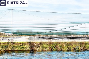 Siatki Pszczyna - Siatka ochronna na zbiornik z rybami, efektywne zabezpieczenie przed ptakami dla terenów Pszczyny